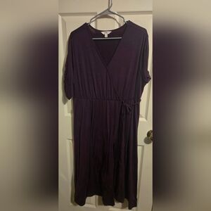 Terra & Sky Deep Purple Long Sleeve Dress